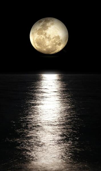 عکس شب لب دریا