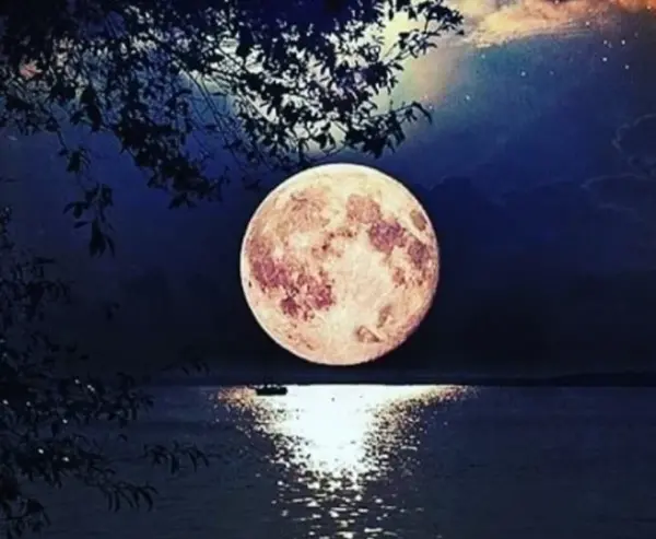 عکس شب های مهتابی