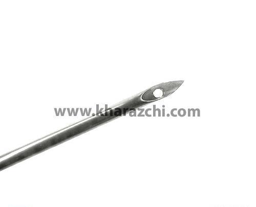 عکس سوزن شبه قالی