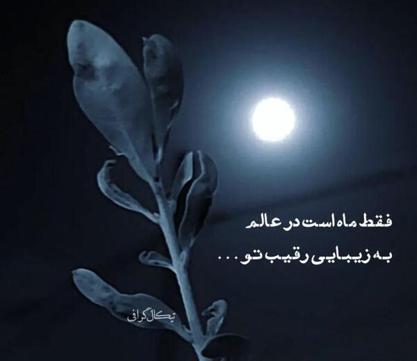 عکس پروفایل شب بخیر
