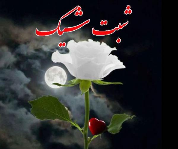 عکس پروفایل شب بخیر