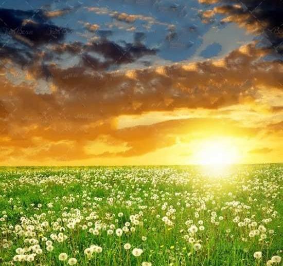 عکس زیبای طلوع آفتاب
