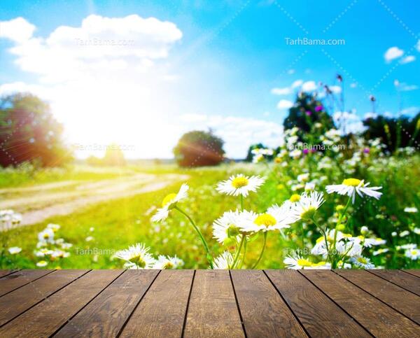 عکس تصاویر زیبای طلوع خورشید