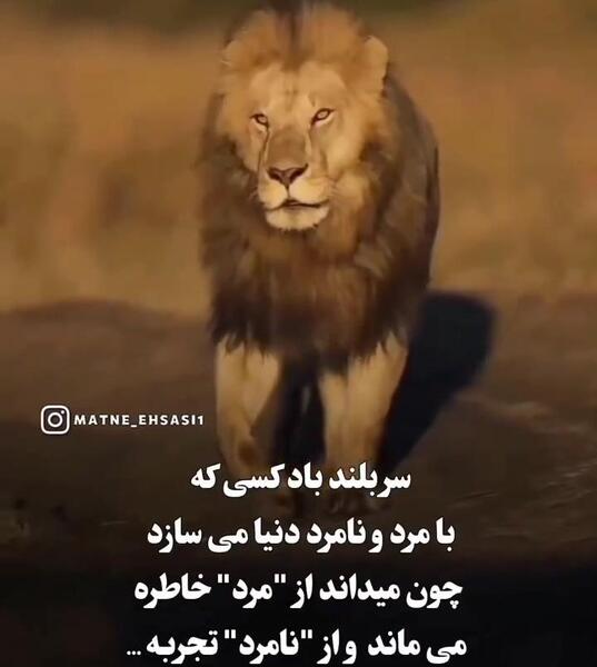 عکس مرد نامرد