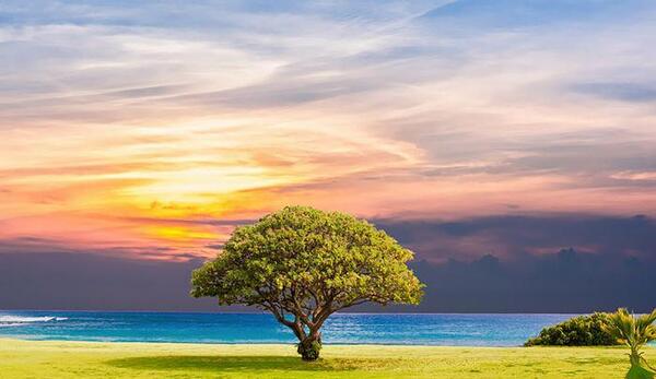 عکس مناظر طبیعت زیبا