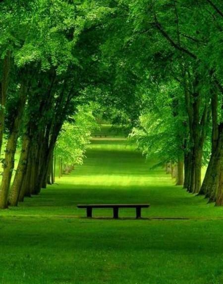عکس طبیعت زیبایی