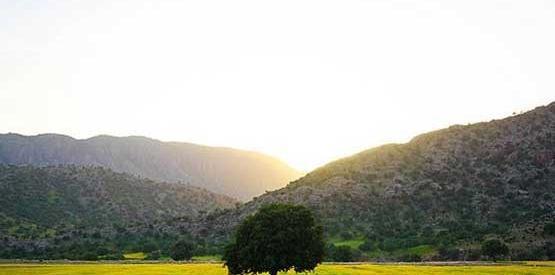 عکس طبیعت در روز
