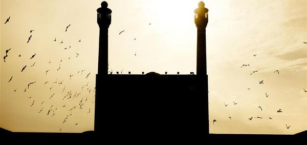 ایده عکس ضد نور در خانه