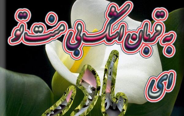 عکس نوشته مادر عزیزم روحت شاد
