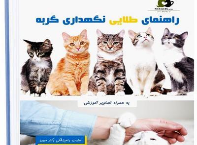 عکس گربه کوچولو موچولو