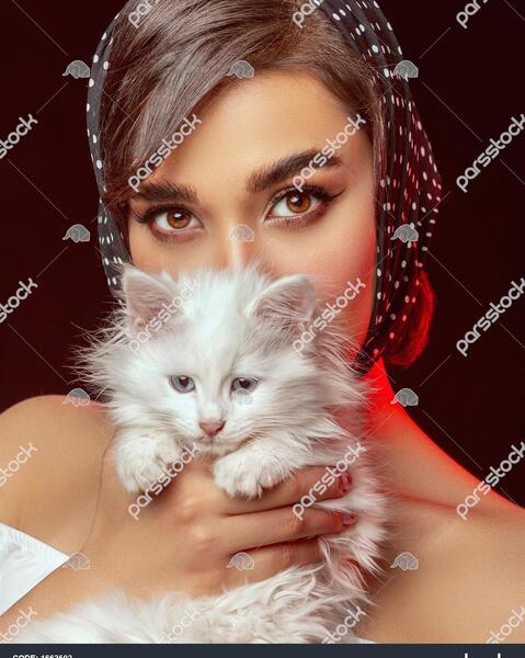 عکس گربه ایرانی سفید
