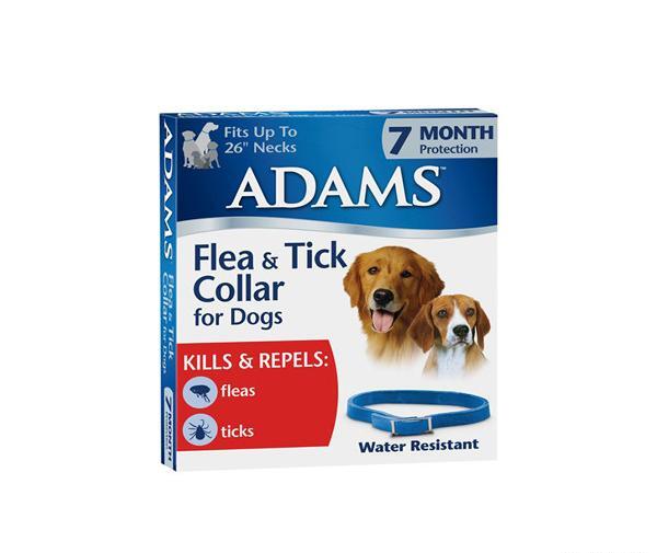 عکس کک و کنه سگ