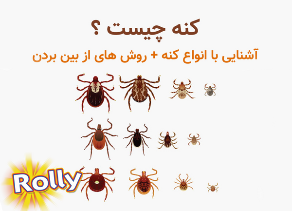 عکس انواع کنه سگ