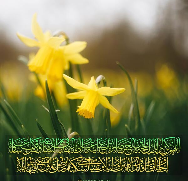 عکس نوشته اللهم کن لولیک الفرج