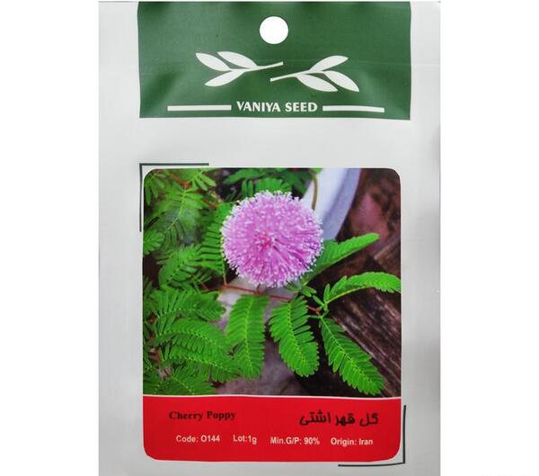 عکس کیک آشتی کنون