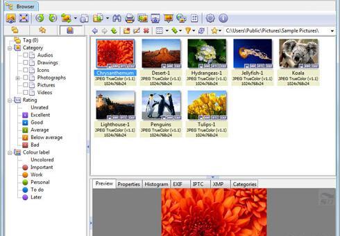 دانلود برنامه عکس باز کن برای ویندوز