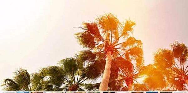 دانلود نرم افزار عکس باز کن برای کامپیوتر