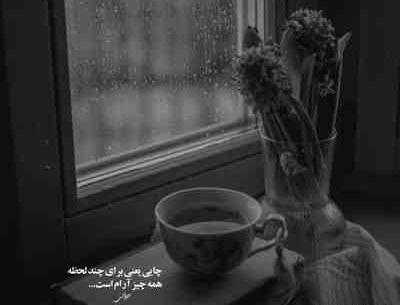عکس بغلم کن که من از همه خستم