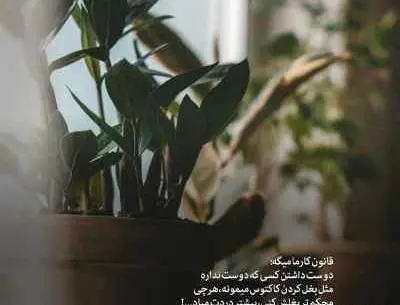 عکس بغلم کن که من از همه خستم