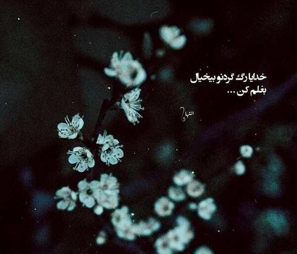 عکس نوشته بغلم کن