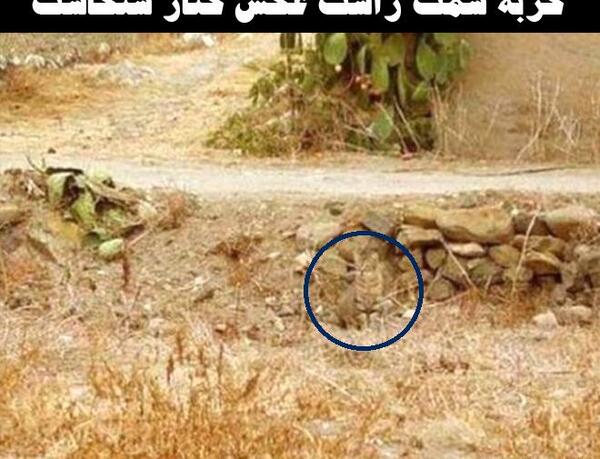 عکس پیدا کن سخت