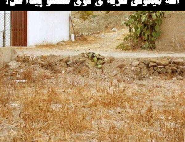 عکس پیدا کن سخت