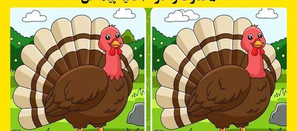 عکس پیدا کنید