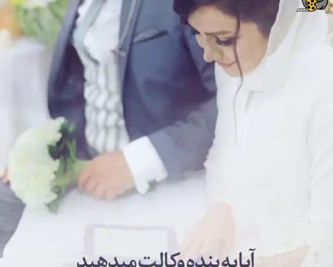 کلیپ عکس عروس و داماد عاشقانه