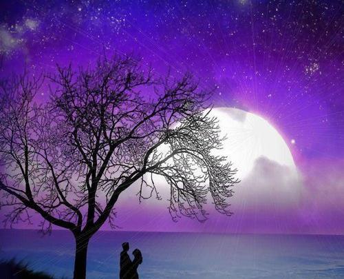 عکس عاشقانه هنری بدون متن