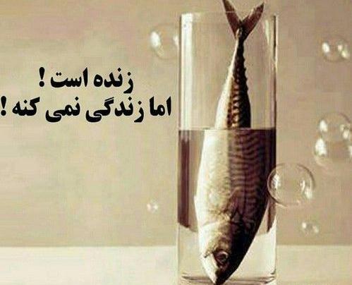 عکس نوشته چاه کن همیشه ته چاهه