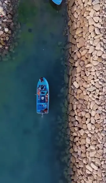 عکس رنگی رحم کنگان