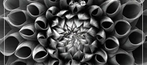 عکس کنتراست رنگی