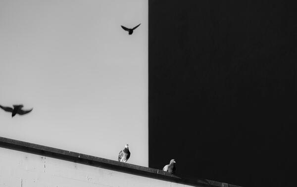 عکس کنتراست رنگی