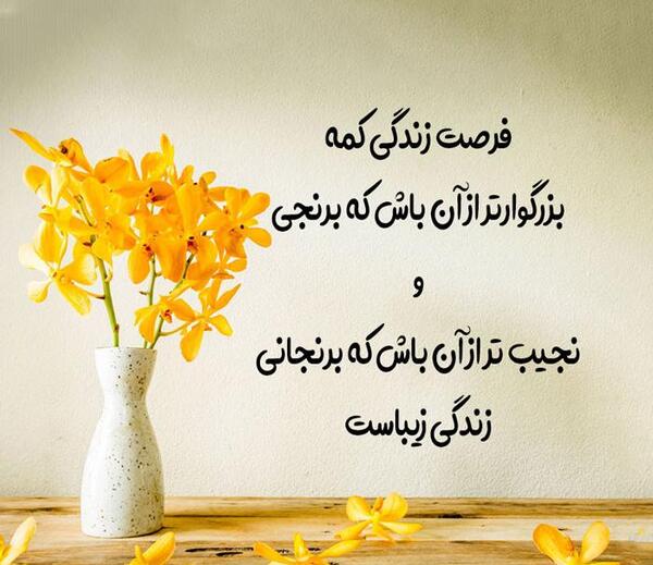 عکس نوشته زندگی کن به شیوه ی خودت
