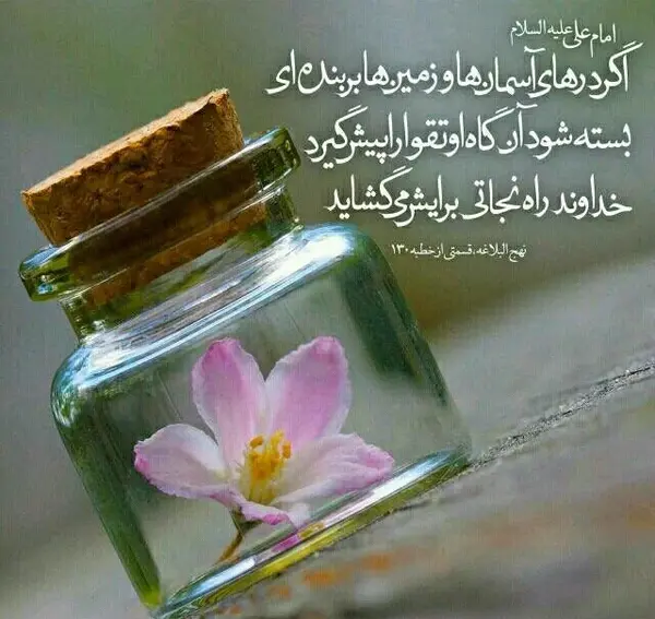 عکس پروفایل زندگی کن