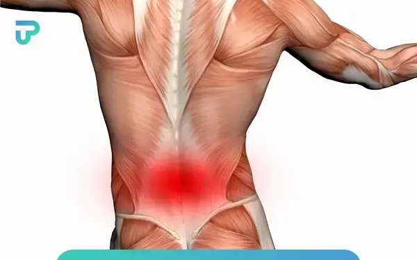 عکس قرص شل کننده عضلات