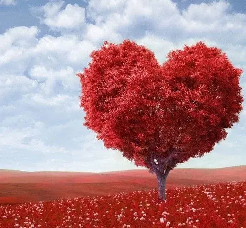 عکس های فانتزی عاشقانه بدون متن