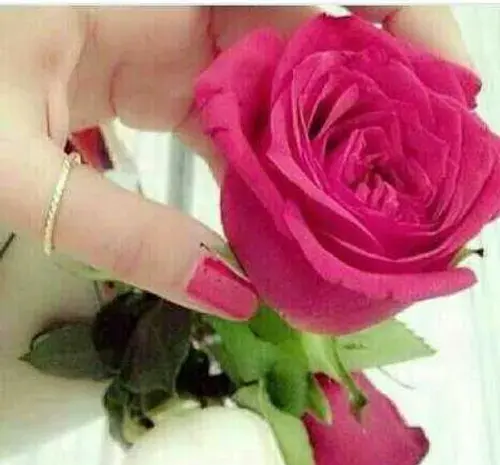 عکس گلم عشقم