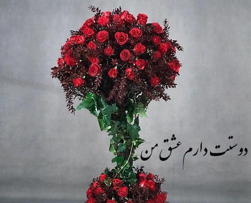 عشقم عکس گل عشق