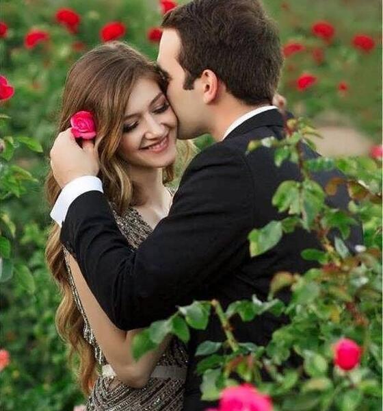 عشقم عکس گل عشق