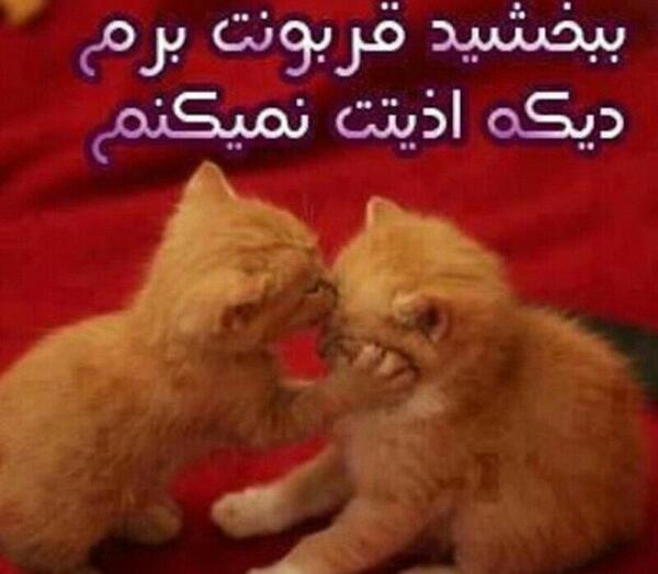 عکس ببخشید عشقم