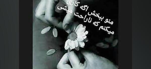 عکس نوشته عشقم ببخشید ناراحتت کردم
