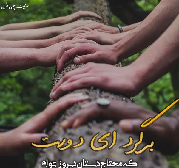 عکس نوشته ببخشید عشقم