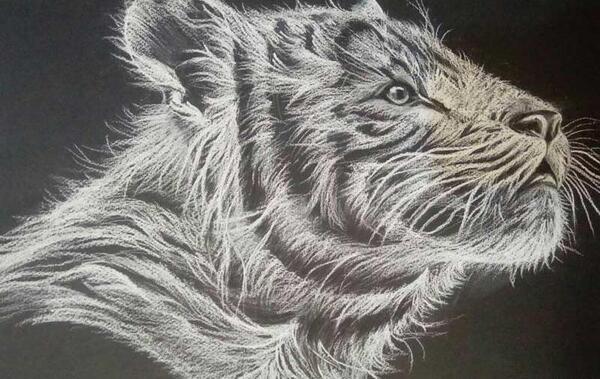 عکس کنته طراحی