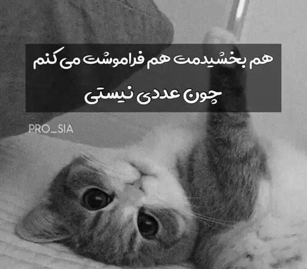 عکس پروفایل فراموشت کردم