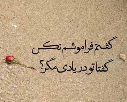 عکس نوشته لطفا فراموشم کن