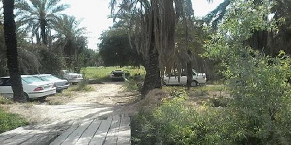 عکس واقعی طالب و زهره