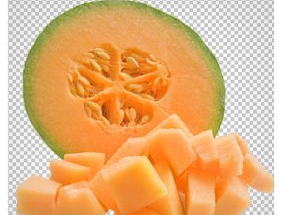 دانلود عکس طالبی