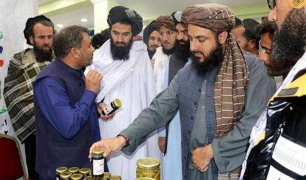 طالب عکس