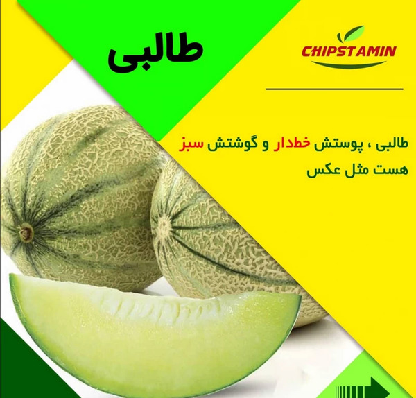 عکس طالبی نقاشی